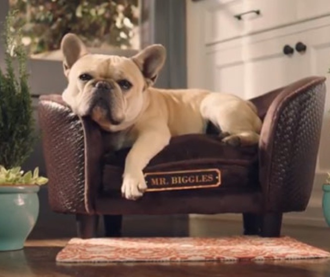 Mr. Biggles home security mascot.