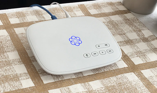 Home security alarm siren setup.