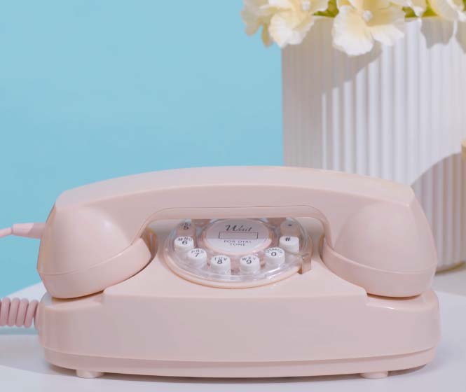 An image of Princess Phone.