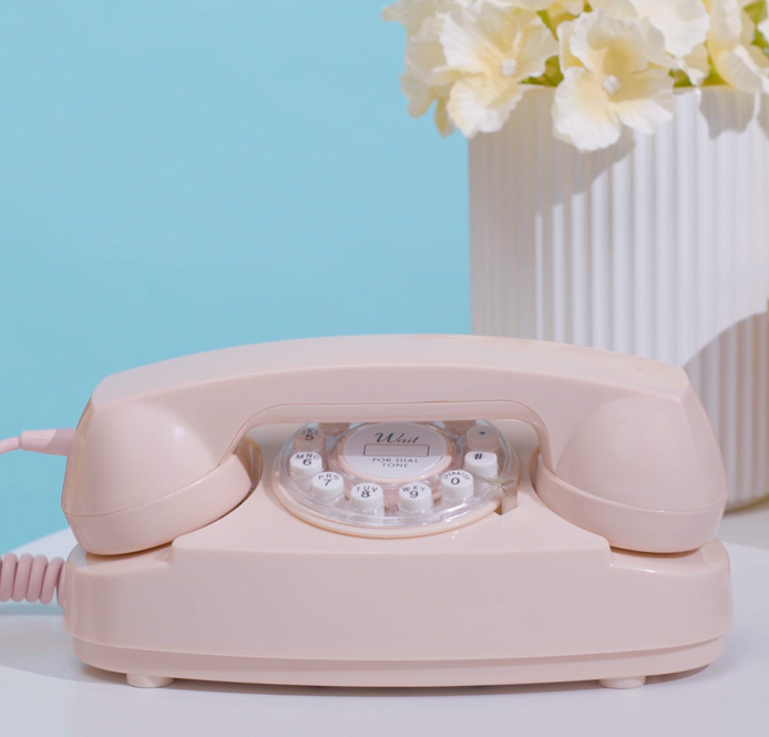 An image of Princess Phone.